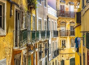 image00015 image00015