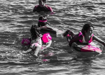 image00020 image00020